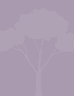 Untitled design (12).png