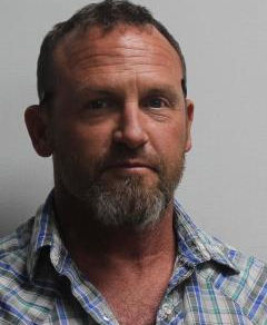 Vernon Parish man accused of timber theft