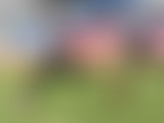 Lobos BUAP trabaja en casa aspectos ofensivos