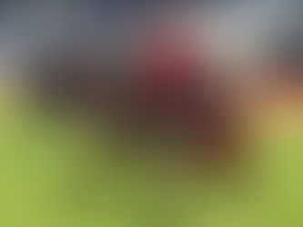 LOBOS BUAP DARÁ SU MEJOR VERSIÓN PARA RECIBIR A SANTOS