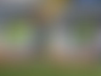 Se consolida la hermandad Lobo entre VfL Wolfsburg y el Club Lobos BUAP