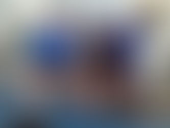 ARMAN BORREGOS PUEBLA SÓLIDO MURO DEFENSIVO