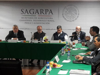 Prioritario el apoyo a comunidades pesqueras en estrategia para conservación de la vaquita marina: C
