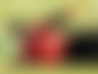 TENEMOS QUE HACER VALER LA LOCALÍA