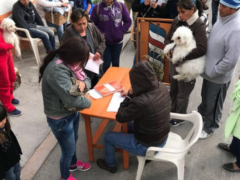 El Ayuntamiento de Puebla realiza Jornada de esterilización de mascotas en la colonia Constitución M