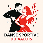 logo DSV.png