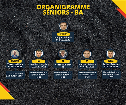 Organigramme SENIORS 2024-2025