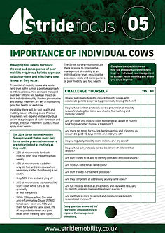 Factsheet 5