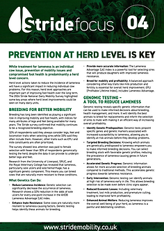 Factsheet4