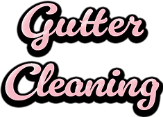 Gutter Cleaning.png