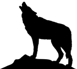 pngfuel.com (10).png