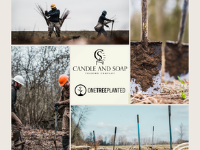 Why we support One Tree Planted