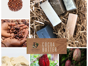Organic Cocoa Butter - Fair Trade Certified