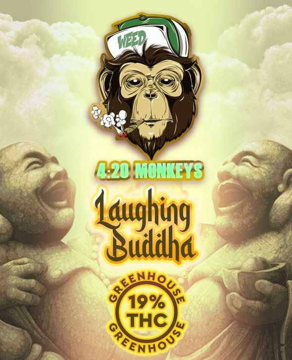 GH Joint Laughing Buddha 1g