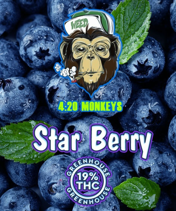 GH Joint Star Berry 1g