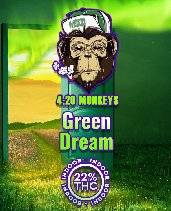 IN Joint Green Dream 1g (x2)