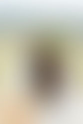 Free People 4 Free People