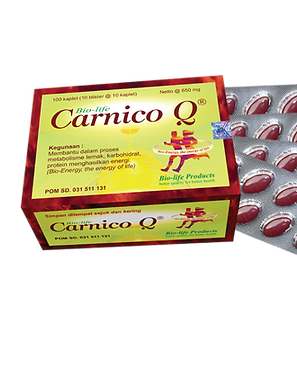 Carnico Q.png