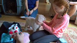 Meeting Pheobe 1