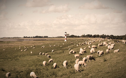 Pastoral%20Scene_edited.jpg