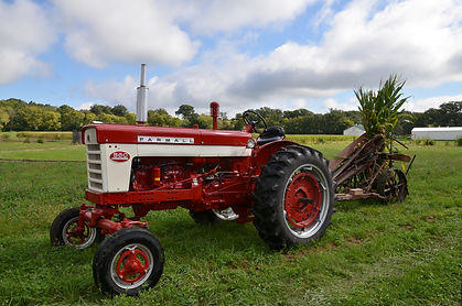 Questions about your visit to Dollinger Family Farm? Find your answers here.