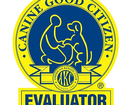 CGC-Evaluator.jpg