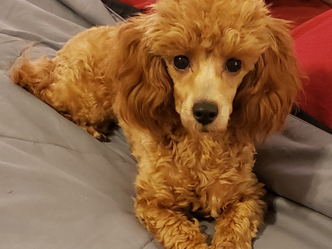 Resized_20190324_200419.jpeg