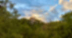 BCF_images1.jpg