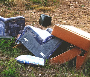 Furniture Removal