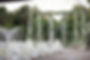 Baldoria on the Water - Wedding - 2.jpeg