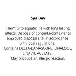 Spa Day CLP website image.jpg