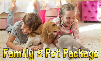 best carpet cleaning Brooksville FL.jpg