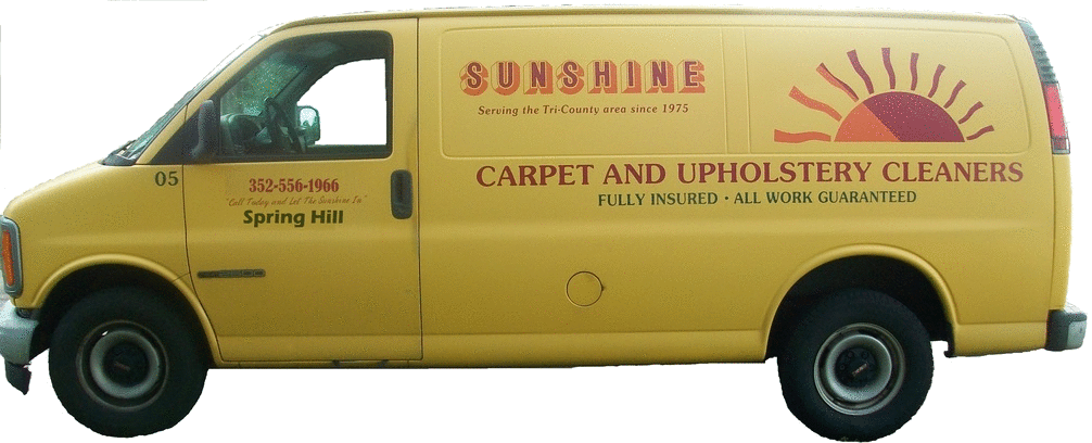 carpet cleaners Brooksville