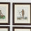Thumbnail: Set of Twelve 18th Century Zoological Engravings