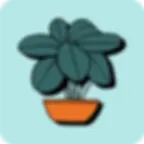 personalized wrapping paper