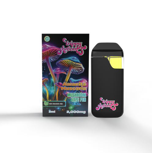 elfbar elfa master akku Mushy Magic Mushroom Vape 2200mg | Buy Mushroom Vapes main image 0