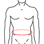 M2 Waist.png
