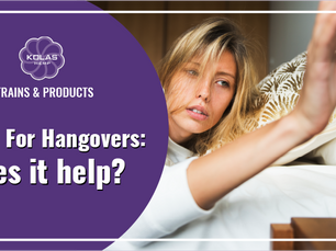 CBD For Hangovers: Does It Help?