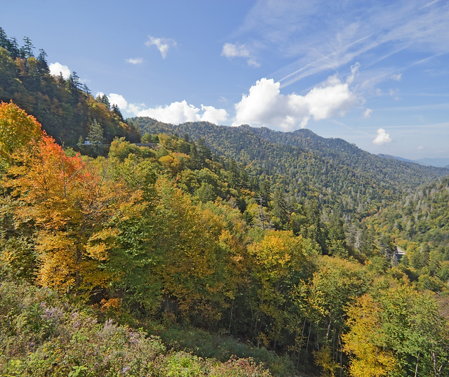 Great Smoky Mountains