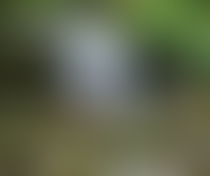 Rainbow Falls in Great Smoky Mountains