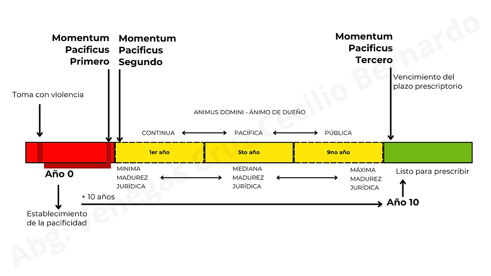 La incertidumbre interpretativa de la pacificidad en la prescripción adquisitiva: ¿Riesgo o beneficio?