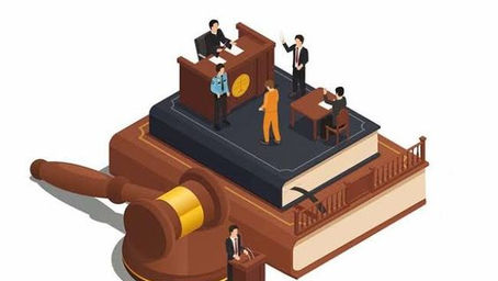 IMPORTANCIA DE LOS PUNTOS CONTROVERTIDOS