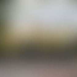 Biedrība “Cerību spārni” aicina pieteikties logotipa izstrādei