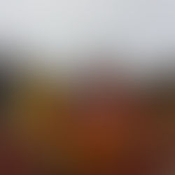 “Cerību mājas” teritorijā izveidots aktivitāšu un bērnu laukums