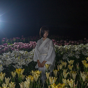 百合