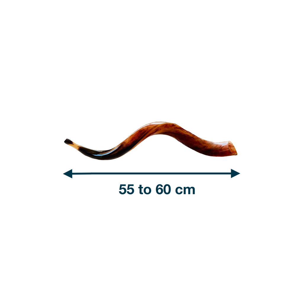 Thumbnail: Shofar - small