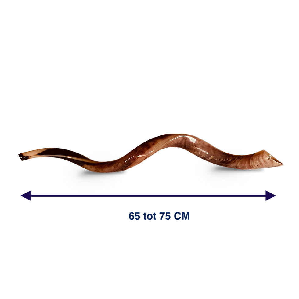 Thumbnail: Shofar Medium