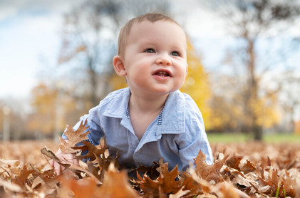 toddler outdoor family portrait crawling in fall leaves
