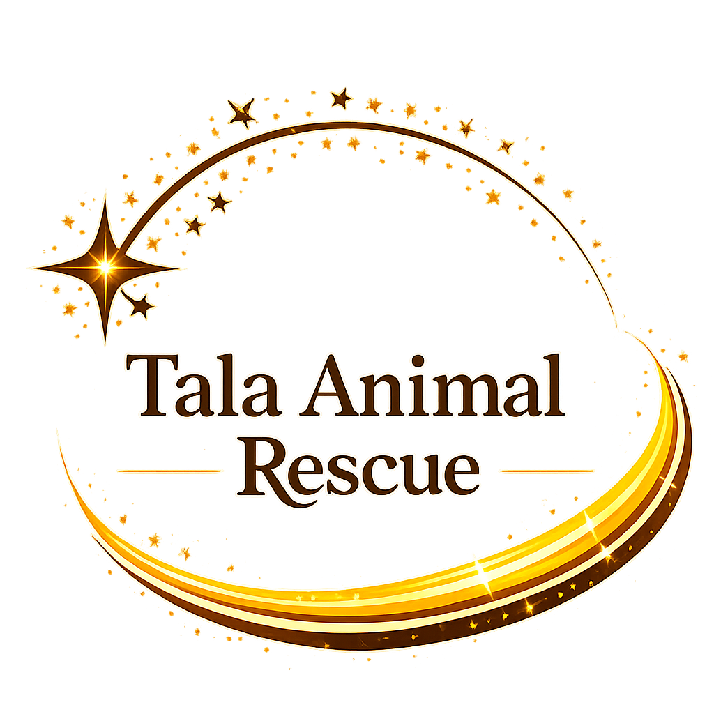 Writer: Tala Animal Rescue