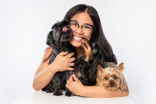 dog pet portrait in chicago studio 3 little dogs licking face
